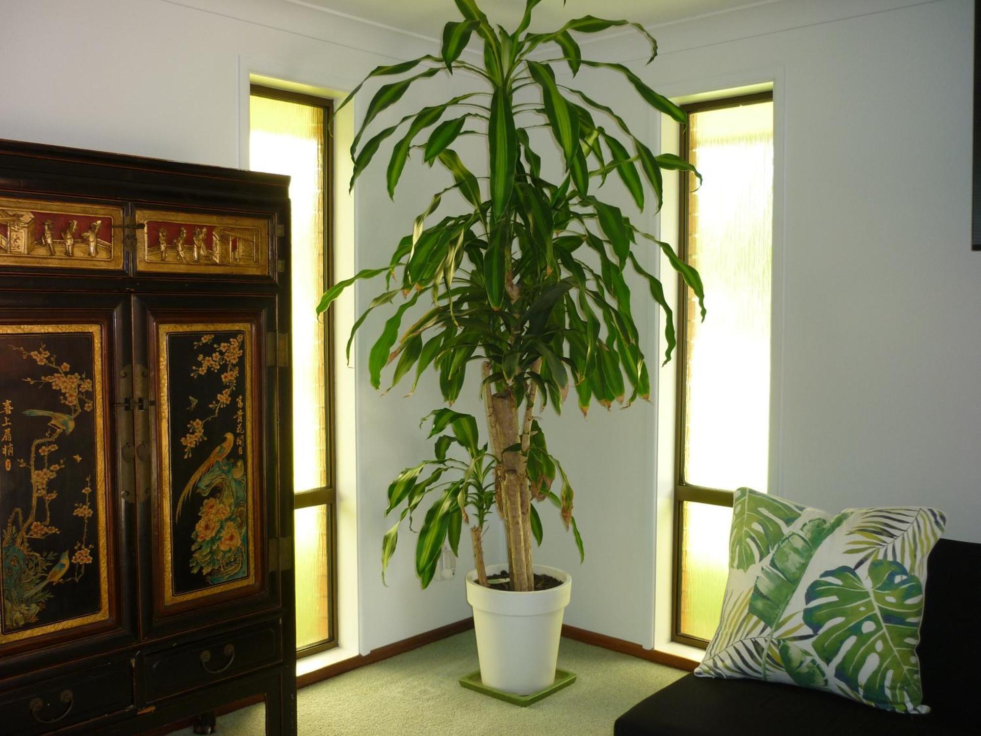 Appartamento Bill'S Coffs Harbour Esterno foto